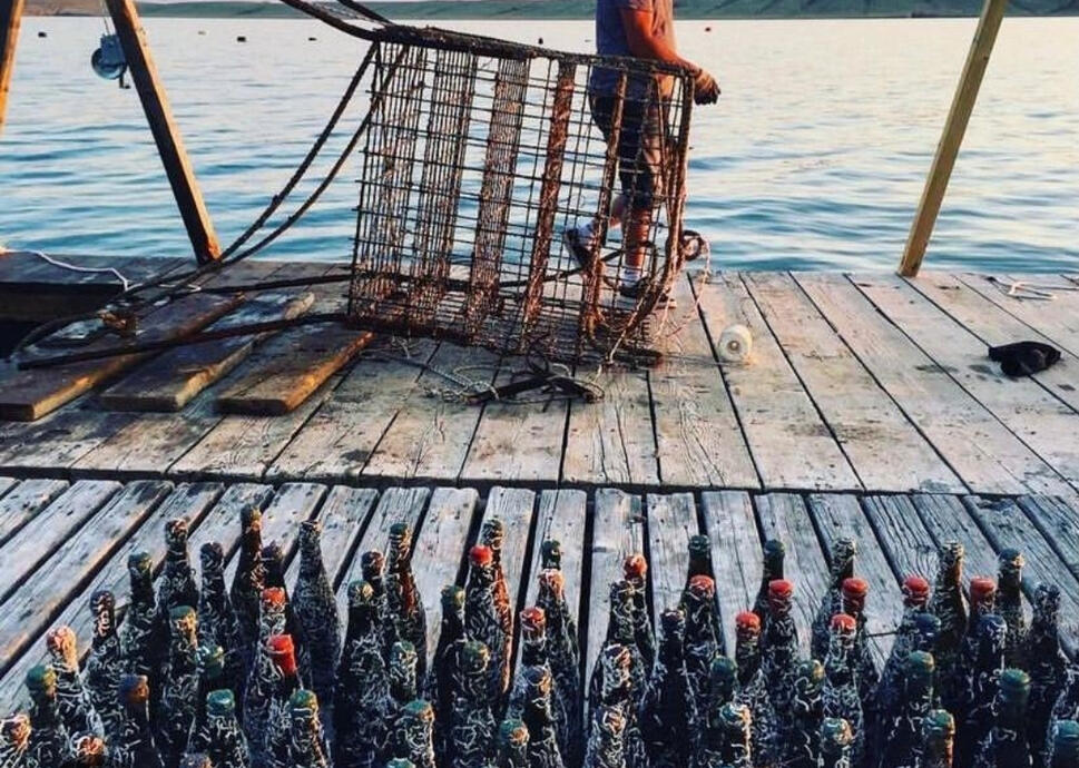 CORAL WINE | EMBRACE CROATIA